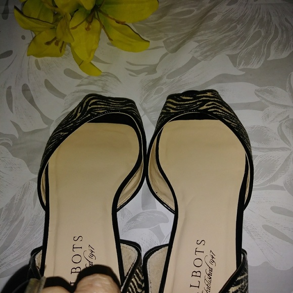 Talbots Flats - Picture 5 of 7